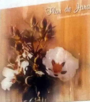 Portada del disco «Flor de Jara»: flores blancas de jara sobre fondo dorado.